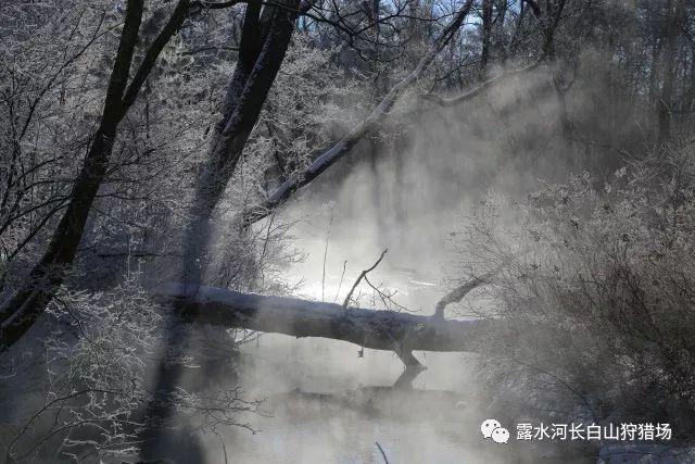 赵薇剧中“女儿”终长大了，美得到底有多勾人心魂？游戏画面