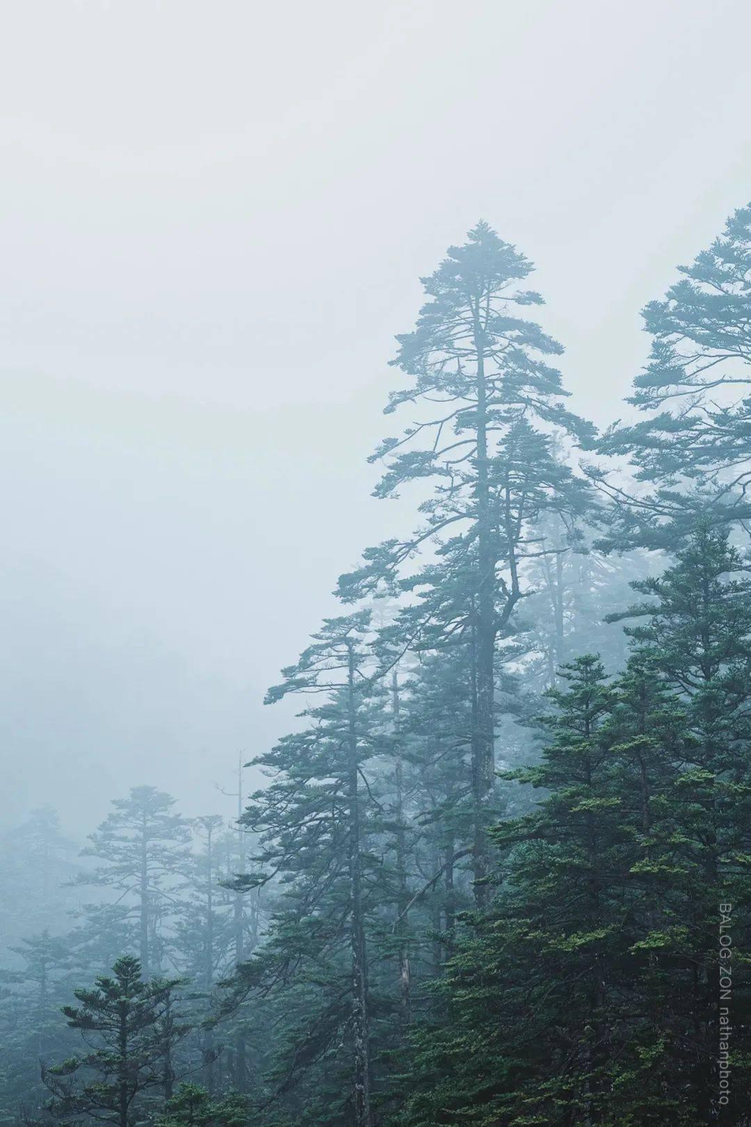 救援瓢虫宝宝