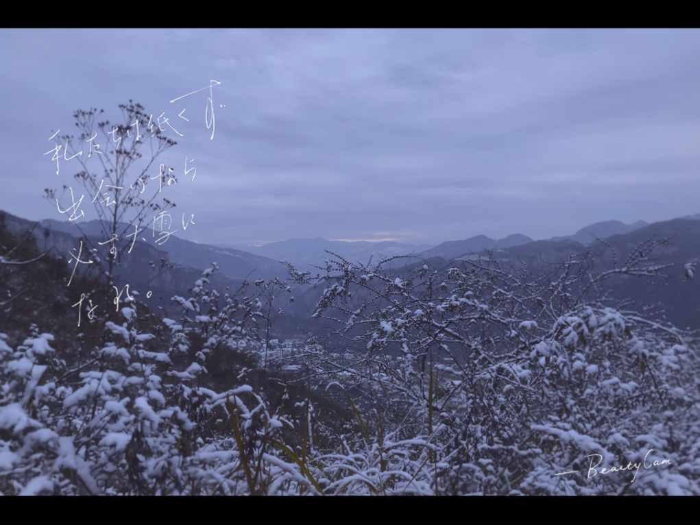 老人高速上逆行走超车道保山交警20公里送其回家