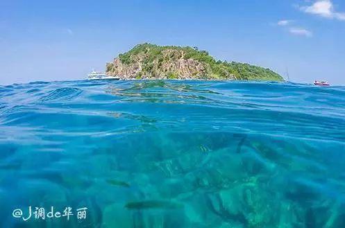 虫虫助手下载