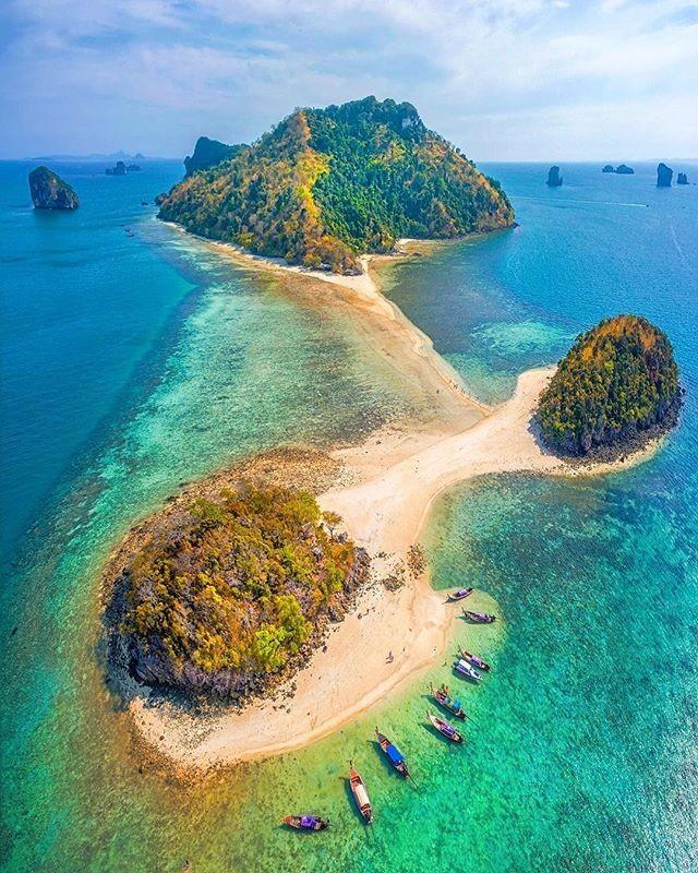 虫虫助手下载