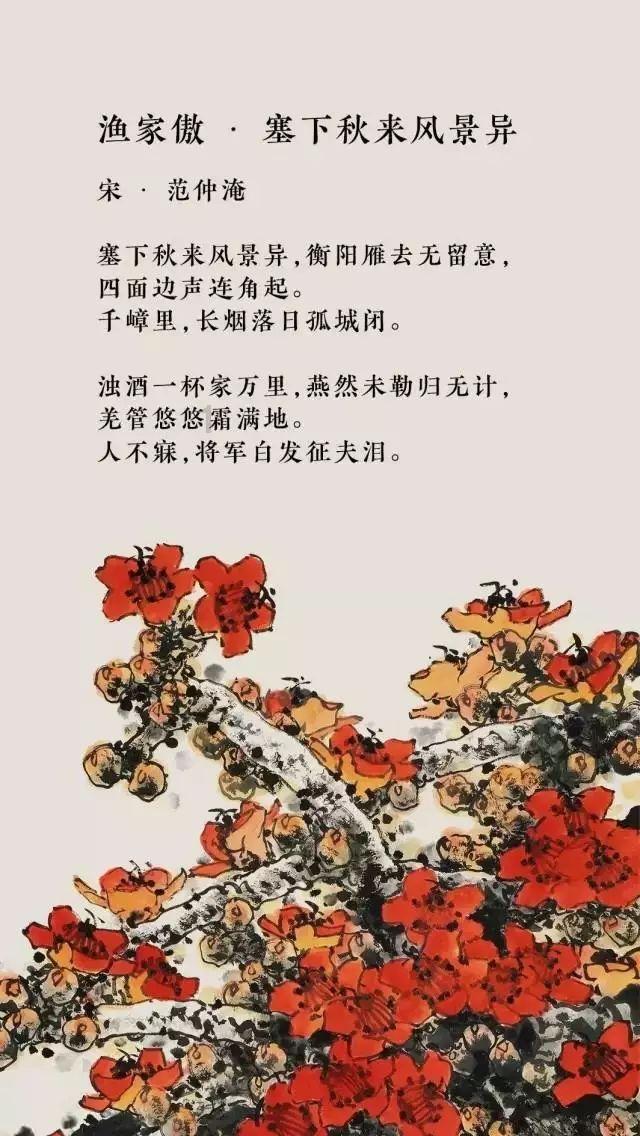 冲浪骑士