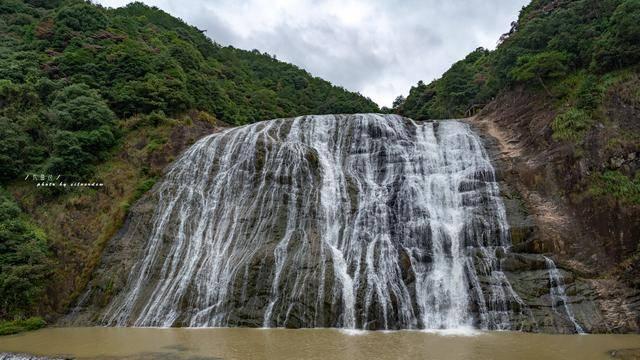 我市“溪”阳红专属定制服务养生游备受青睐
