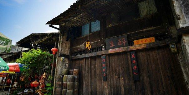 盐和避难所