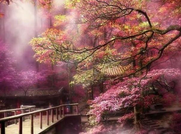 逃离复古建筑